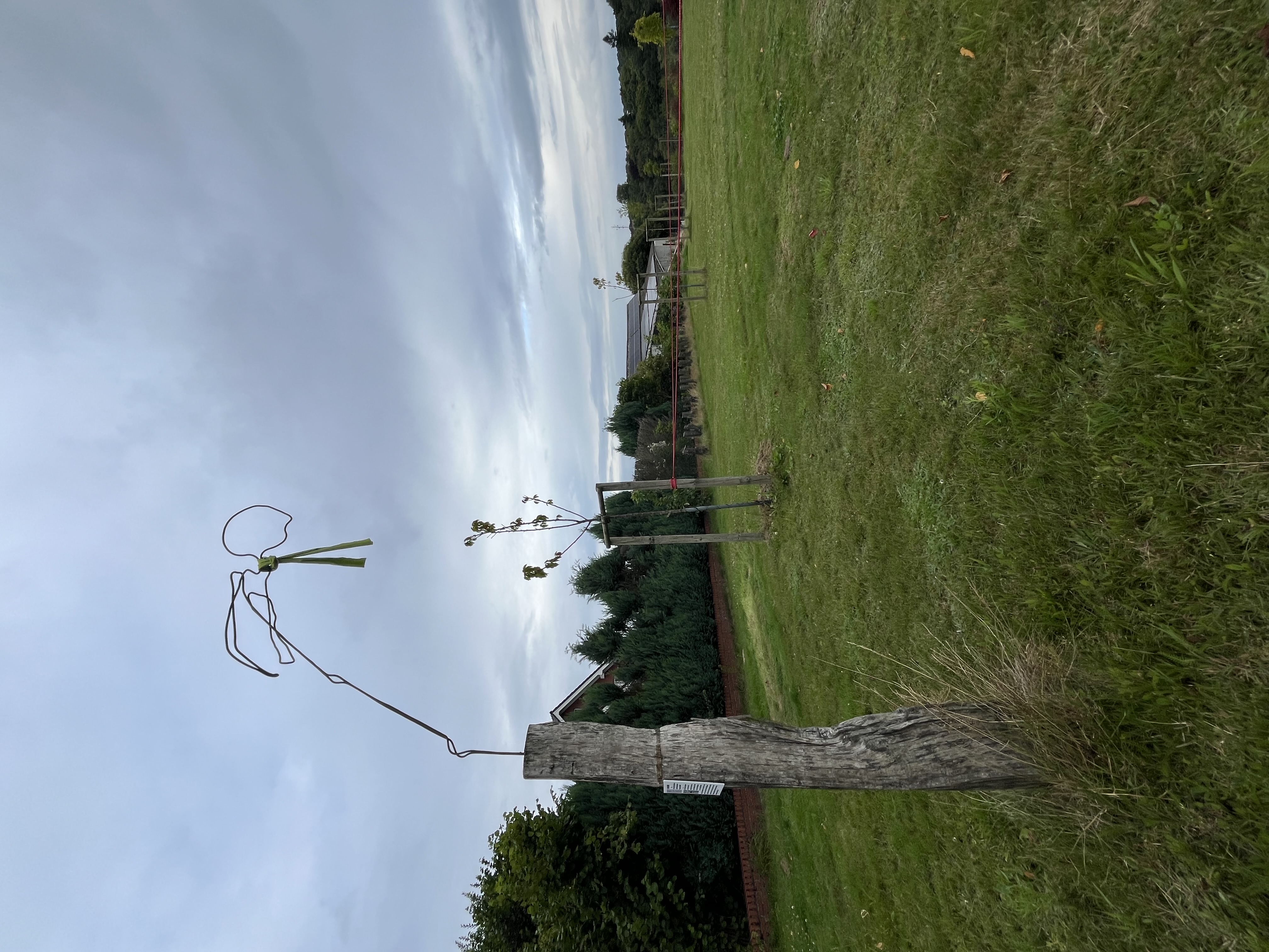 KLANG BILD WORT